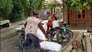 Download Lagu PANEN JAGUNG  MP3