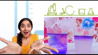 Amazing Science experiment with salt water & Dye | Easy science experiment | #shorts #viral #short