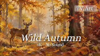 Autumn Deer in the Forest | 4K Ambient TV Art No Music screenshot 4
