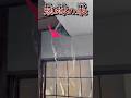 【爆掃シリーズ】一軒家丸々ゴミ屋敷…溢れた漫画で足の踏み場無い和室編