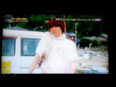 伊野ちゃんのファッションショー