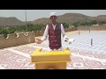 MUNZIR SHEK AMIN Zikri MUNZIR SHEK AMIN Zikri
