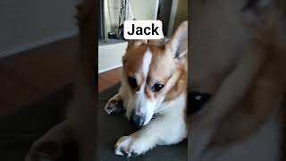 Jack
