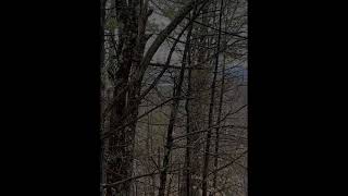 0 Interlaken Drive, New Durham, NH 03855 - Land - Real Estate - For Sale