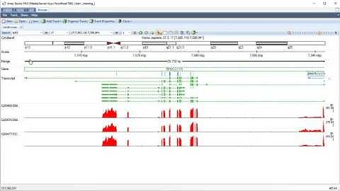 Genome Browser - Load BAM coverage tracks from files
