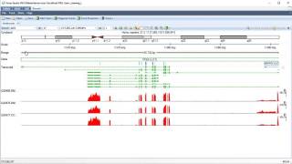 Genome Browser - Load BAM coverage tracks from files