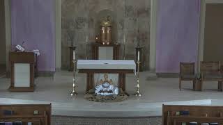 11 AM Sunday Mass February 22, 2026