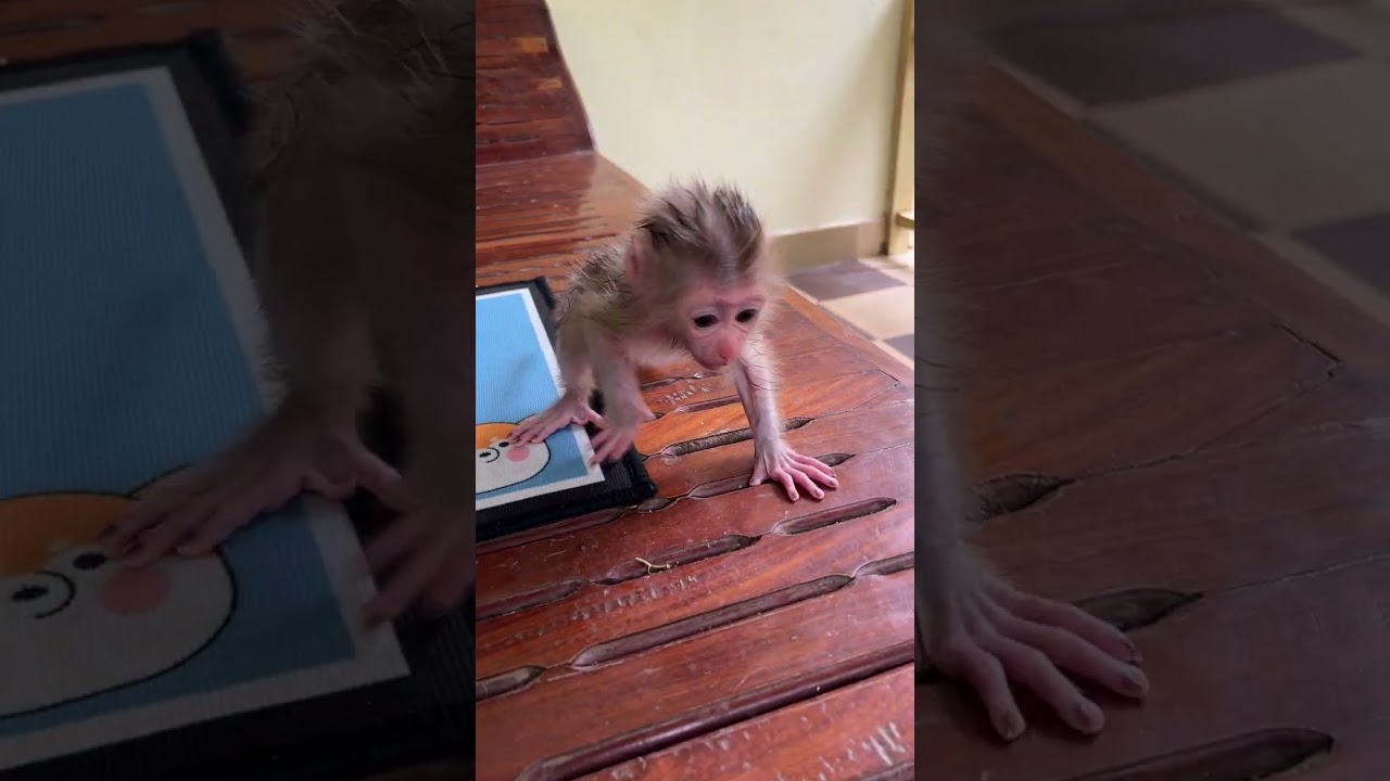 Newborn Baby Titas So Relaxing