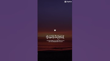 سورة الشعراء، الآيات 87-89 #القرآن_الكريم #اكسبلور #لايك