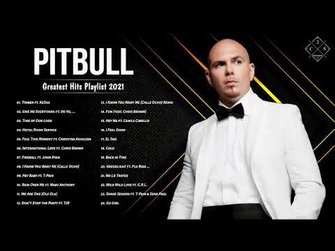 PITBULL Greatest Hits Playlist 2021 - PITBULL Full Album 2021 - The Best of PITBULL