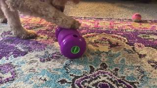 kong replay toy