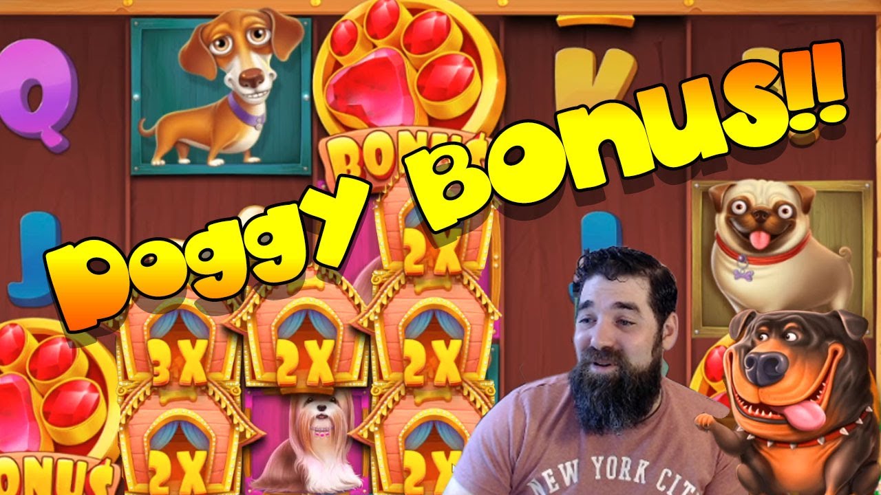 DOG HOUSE BIG WIN!! Wuff Wuff🐕‍🦺🐾 YouTube