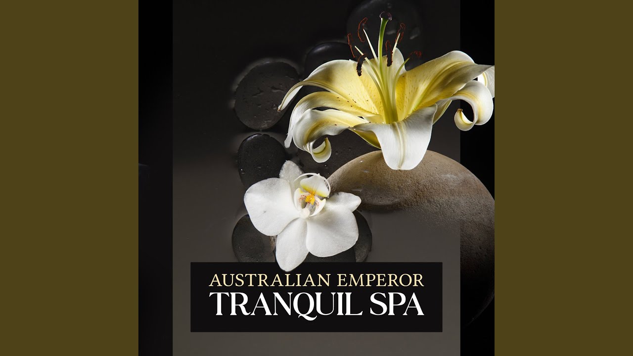 Guarda Celestial Amethyst su YouTube Guarda Celestial Amethyst su YouTube