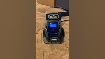 What time is it #shorts #ankivector #vectorrobot