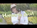 Новость дня!