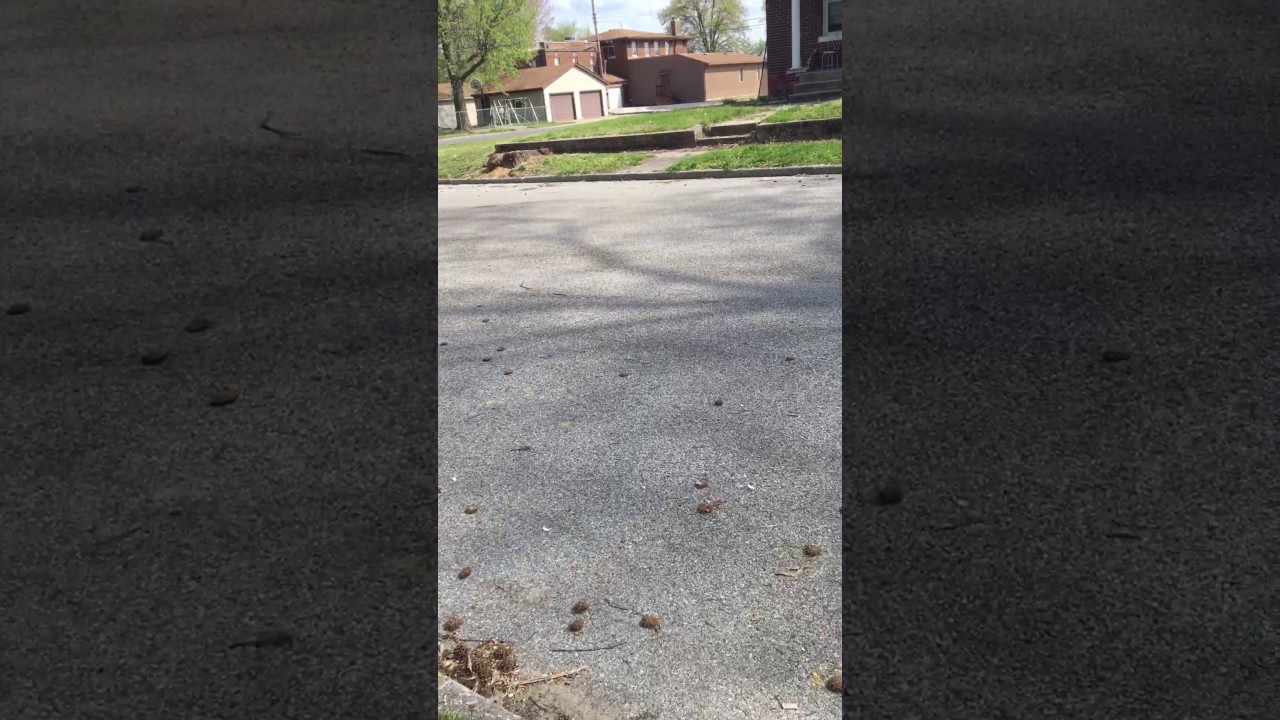 Republic services heil rear loader truck 2020