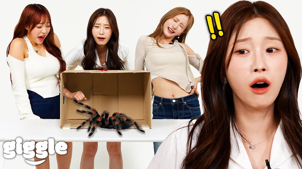 Korean Girls Try What's In The Box Challenge..! (Ft. cignature)