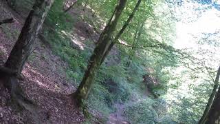 Westerwaldsteig Teil 2 Naturpfad Weltende Kroppacher Schweiz