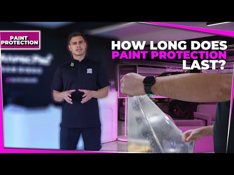 How Long Does Paint Protection Last