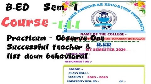 B.ED Sem -1 Practicum Course-1.1.1 Observe One Successful teacher & list down behavioral BSAEU