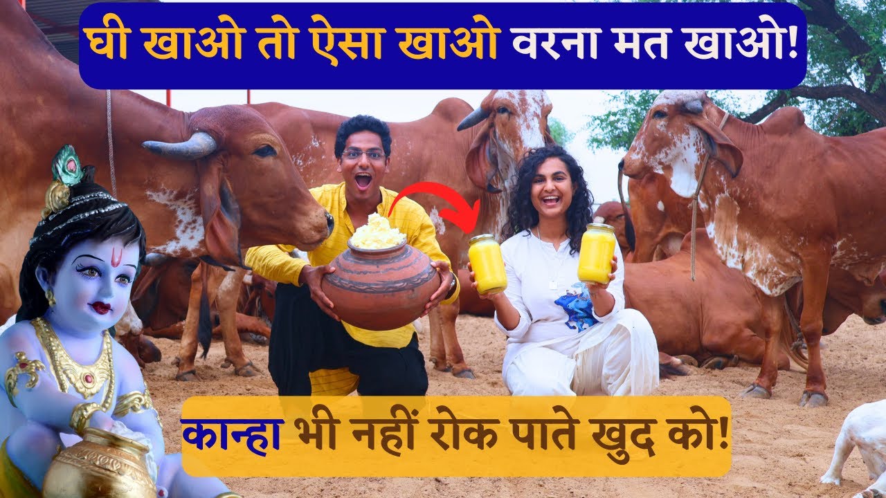 HOW PUREST GIR COW A2 BILONA GHEE  IS MADE? | To order WhatsApp us at 7665466657