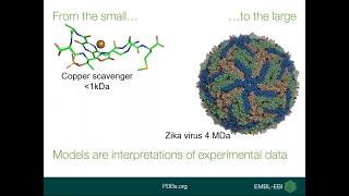 Finding the best data for your needs in the PDB archive