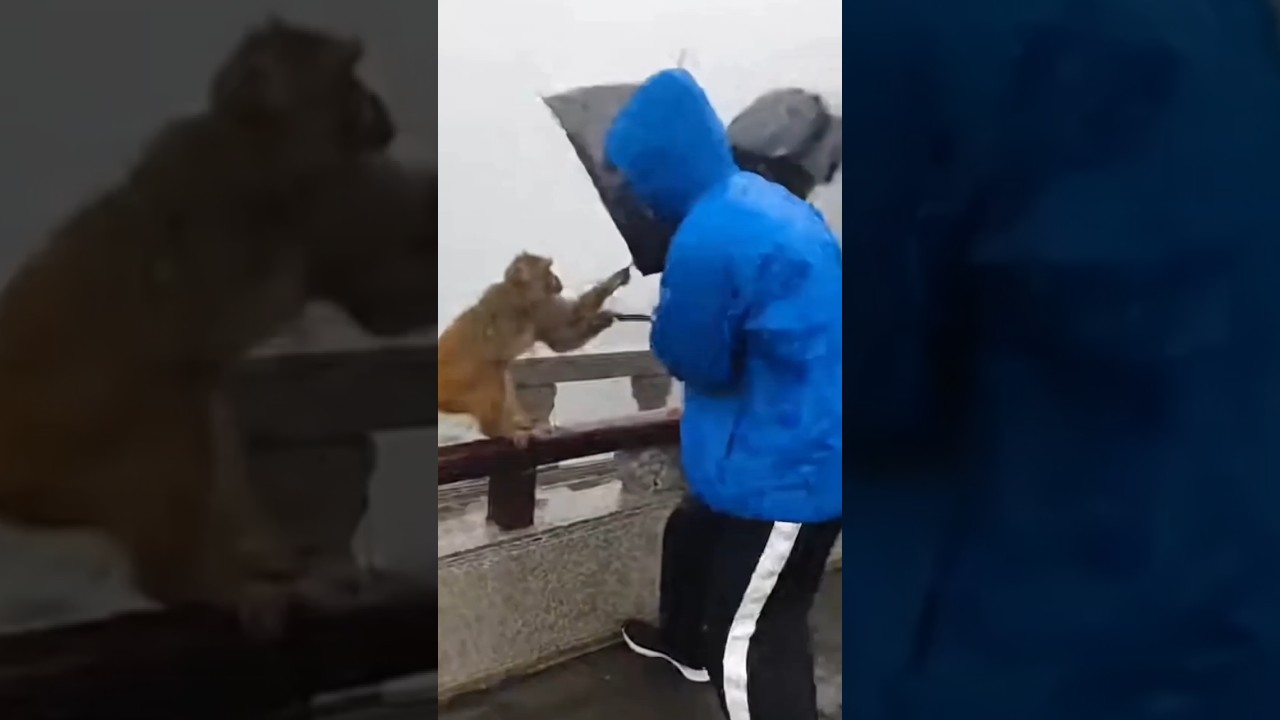 This is a must-see video. 