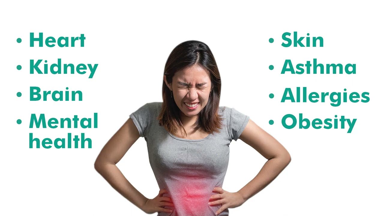 Healthy Gut Is Key To Overall Health ! Best Probiotic For Gut Health