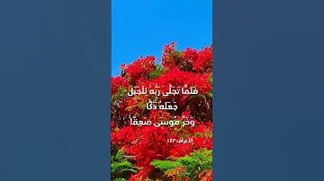 تلاوة هادئة للشيخ علي جابر رحمه الله " سورة الأعراف"