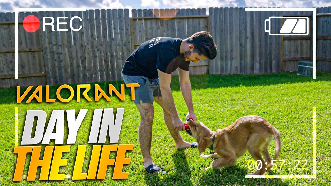 24hrs with VALORANT Pro 100T LCQ w/ Ethan YouTube