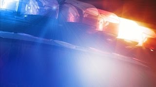 Woman Receives Numerous Non-Life-Threatening Injuries in Sebeka Bear Attack