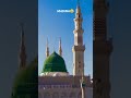 Ro Ro ky Mustafa Ne Dariya Baha Diya hy | Ghulam Mustafa Qadri | Status #ghulammustafaqadri #madina