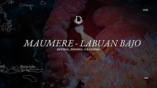 Aboard Damai - Maumere to Labuan Bajo
