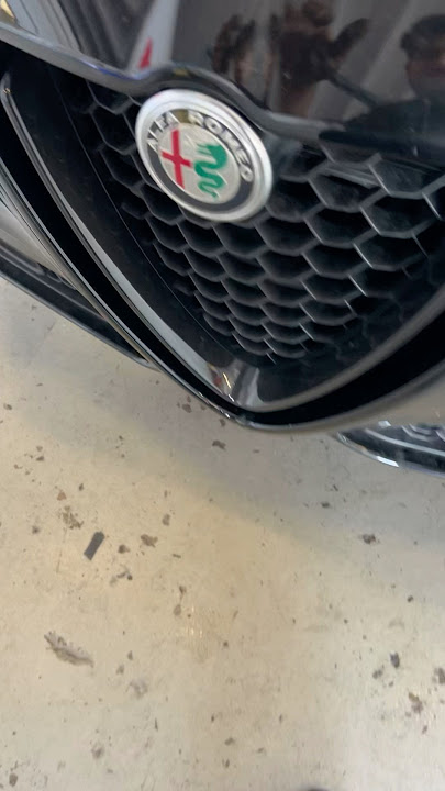 They Say Alfa Romeos Have Nightmare Electric ⚡️ Problems #alfaromeostelvio#stelvio#carasmr#alfa