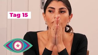 Tag 15 in 8 Minuten: Ein emotionales Finale | Promi Big Brother 2023 | SAT.1