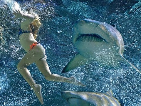 ПЯТЬ САМЫХ ОПАСНЫХ ПЛЯЖЕЙ МИРА / Five most dangerous beaches in the world