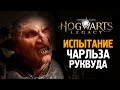 ВТОРОЕ СЕРЬЕЗНОЕ ИСПЫТАНИЕ➤ Hogwarts Legacy (Хогвартс Наследие) ◉ Прохождение #7