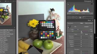Lesson 22 -  How to Correct White Balance with Grey Card in Lightroom and Camera Raw screenshot 5