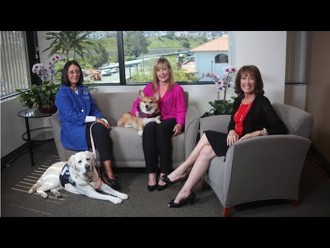 Benefits of Volunteering and Pet Therapy | San Diego Health