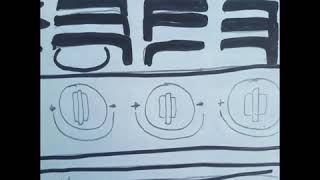 Le Festin Meme Annie Yato Animation