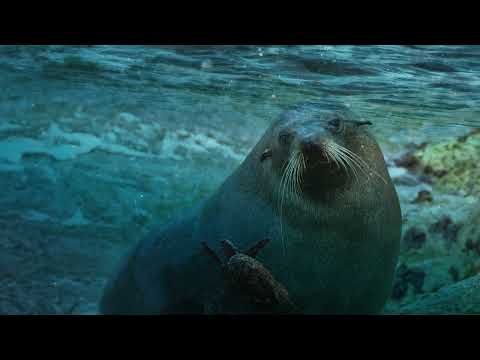 Underwater