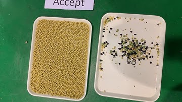 optical sorting machine for beans,AMD color sorter