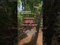 House for sale, Kozhikode |#realestate #houseforsale #commercialbuilding #landforsale #calicut