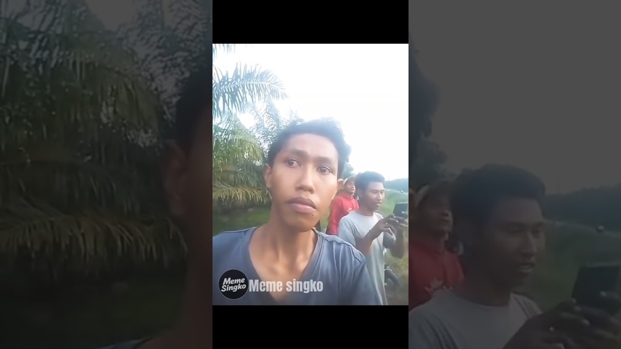 TOP SINGKO INDONESIA PERSON