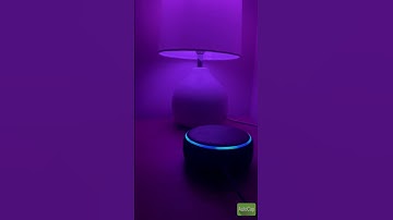 Connect your Spotify account with Amazon Alexa for music. #ytshorts