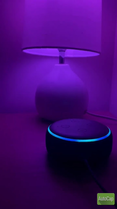 Connect your Spotify account with Amazon Alexa for music. #ytshorts