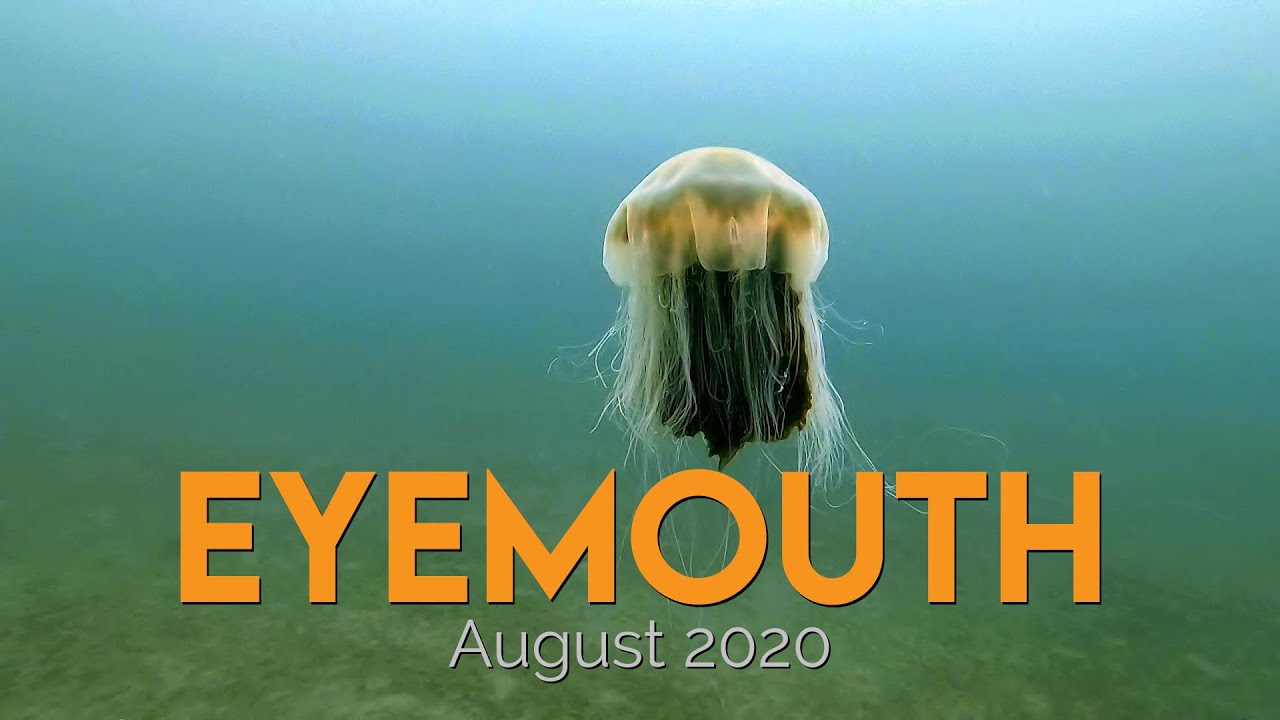 Diving Eyemouth Scotland with Marinequest | August 2020