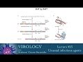 Virology 2014 lecture #23 - Unusual infectious agents