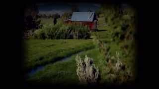 Paradise Valley - Patrizia Ines Roggero - Official booktrailer