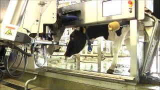 This Is Why: Tyler & Don Rennie, Legendairy Farms